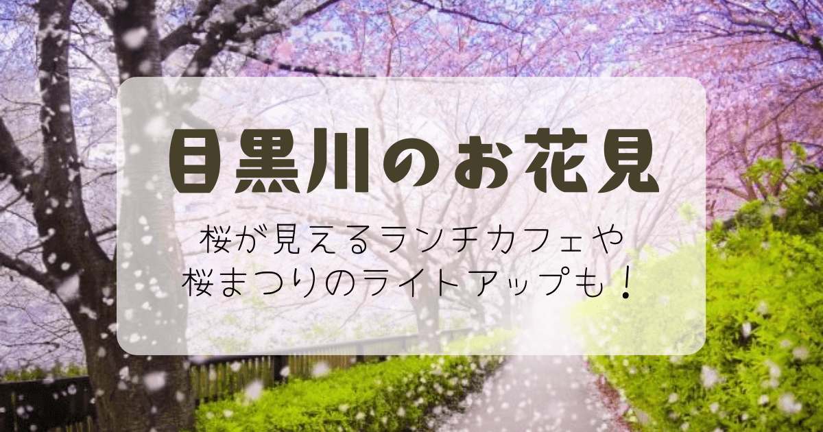 目黒川のお花見！桜が見えるランチカフェと桜まつりのライトアップ