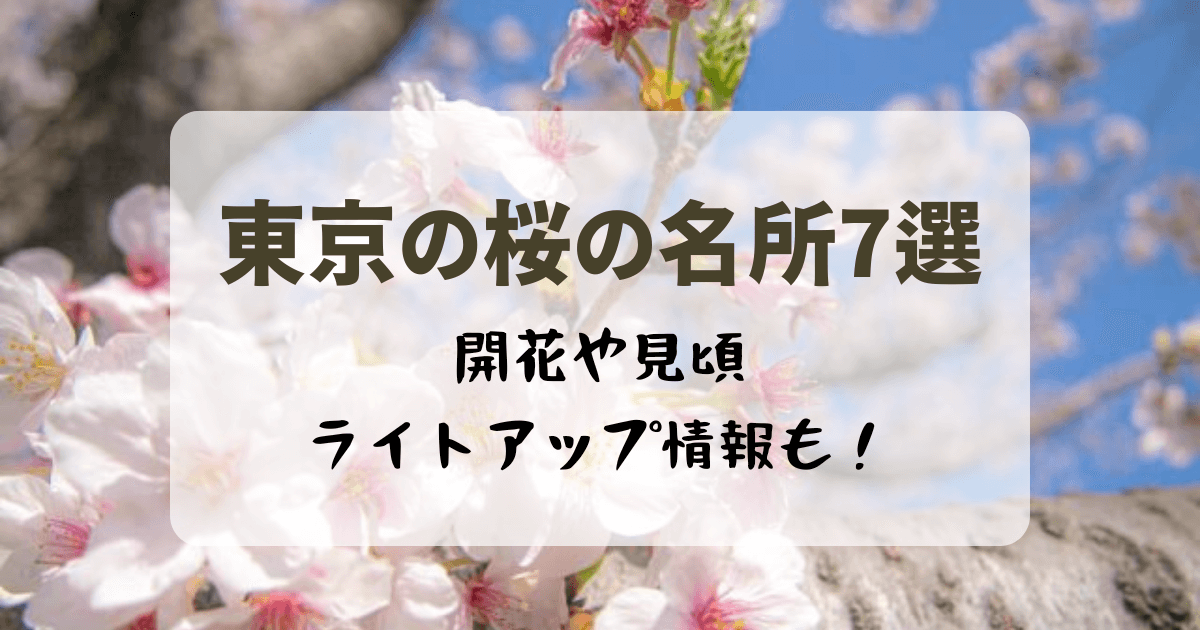 東京の桜の名所７選！開花や見頃・ライトアップ情報も