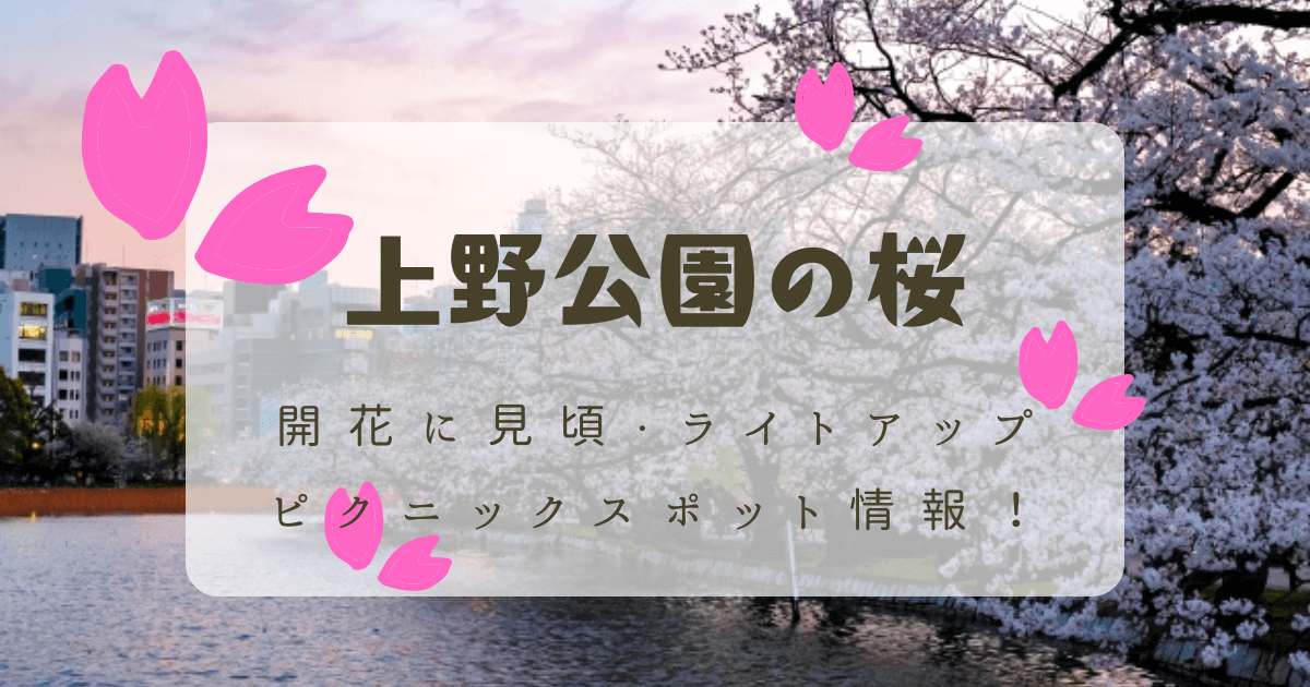 上野公園の桜の開花予想に見頃・お花見ピクニック場所・桜まつり